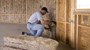 Best Wall Insulation Installation  in Essex, MD